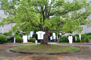 キャンパス中央の木へのオブジェ（平成18年5月）